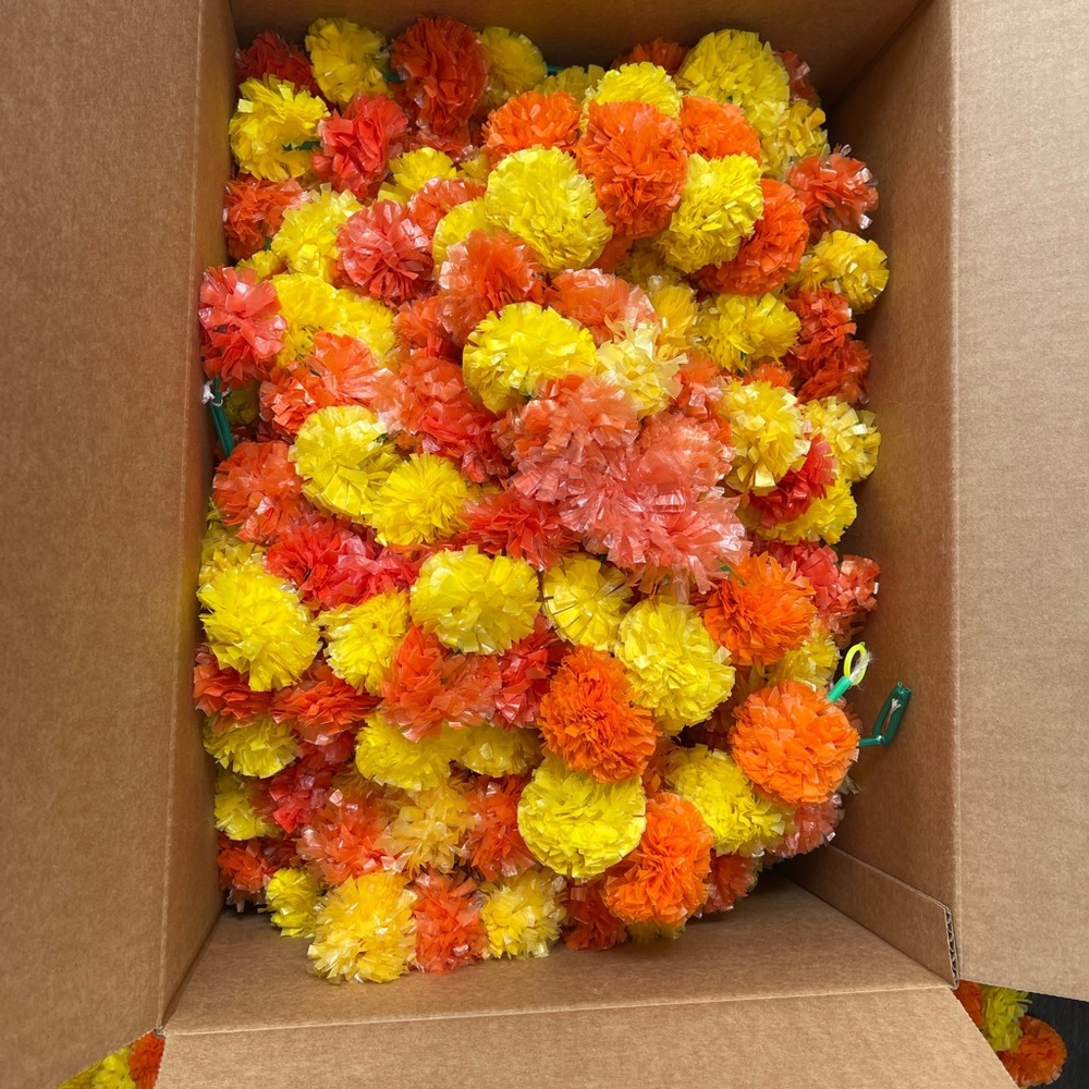 Marigold Flowers